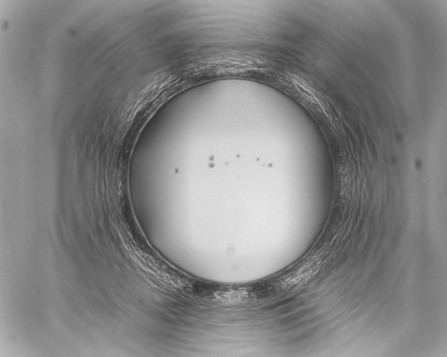 X0000057060362200510071413