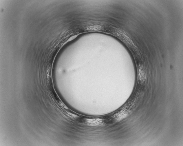 X0000057060363200510071413