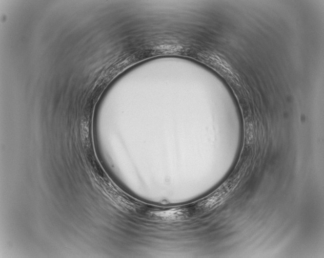 X0000057060365200510071413