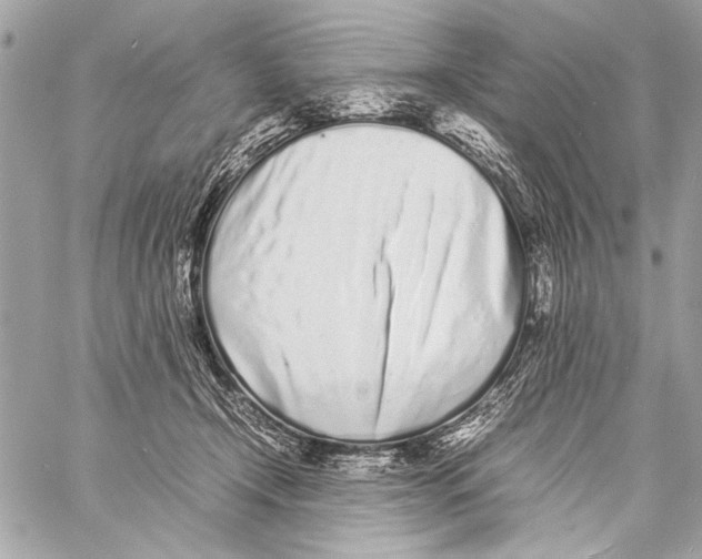 X0000057060366200510071413