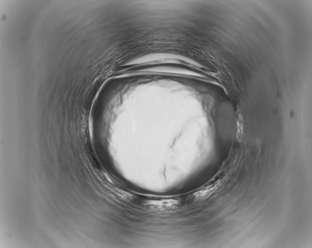 X0000057060367200510071413