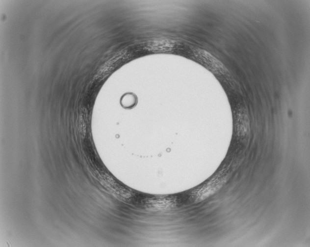 X0000057060370200510071413