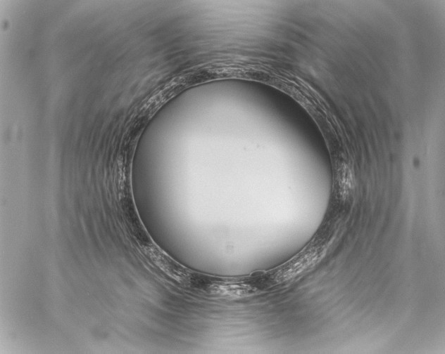 X0000057060372200510071413