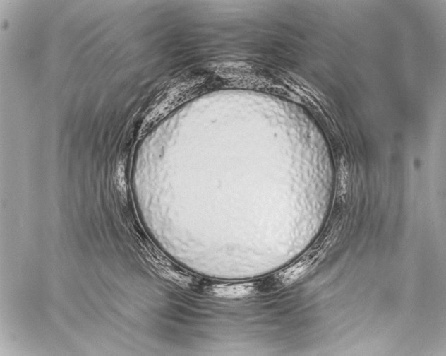 X0000057060373200510071413