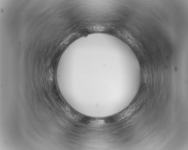 X0000057060374200510071413