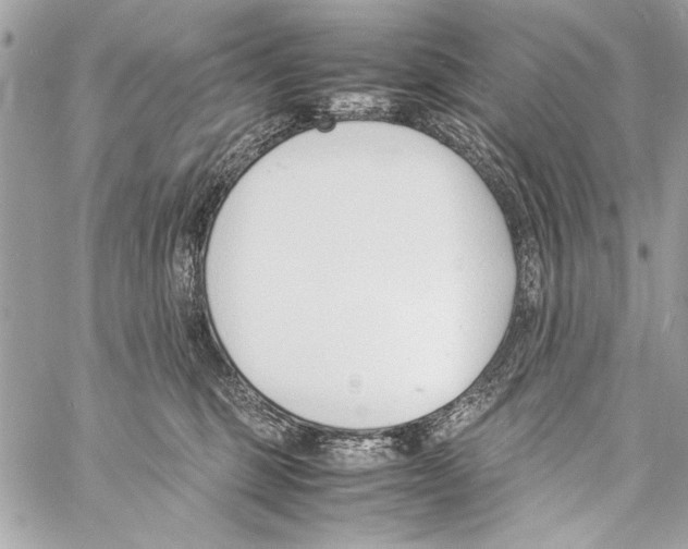 X0000057060375200510071413