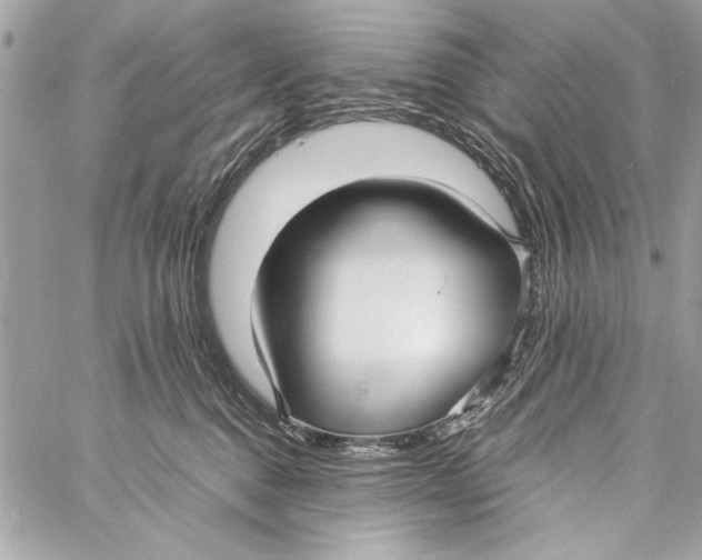 X0000057060376200510071413