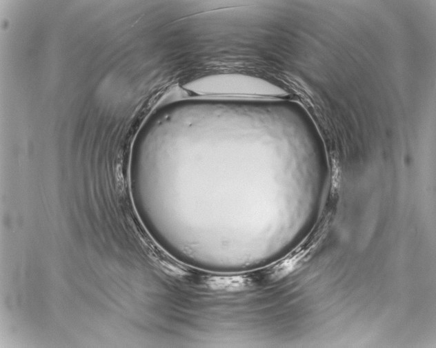 X0000057060377200510071413