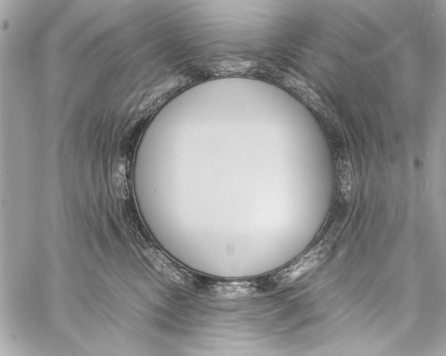 X0000057060378200510071413