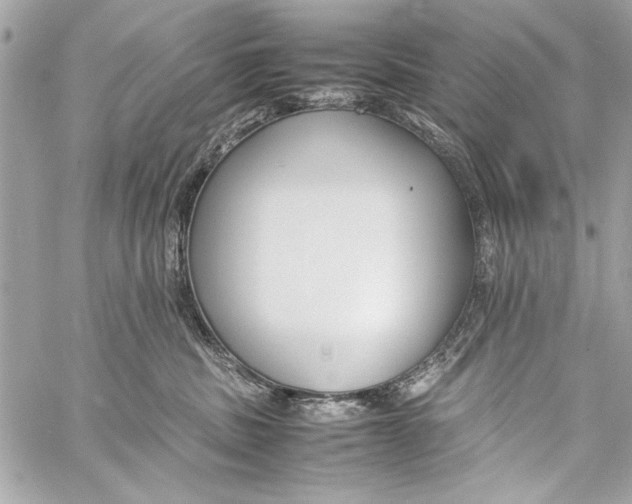 X0000057060379200510071413