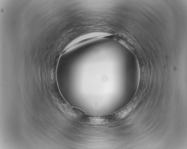 X0000057060380200510071413