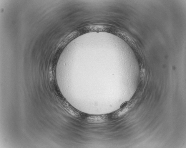 X0000057060381200510071413