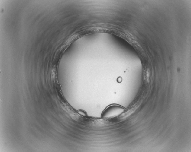 X0000057060382200510071413