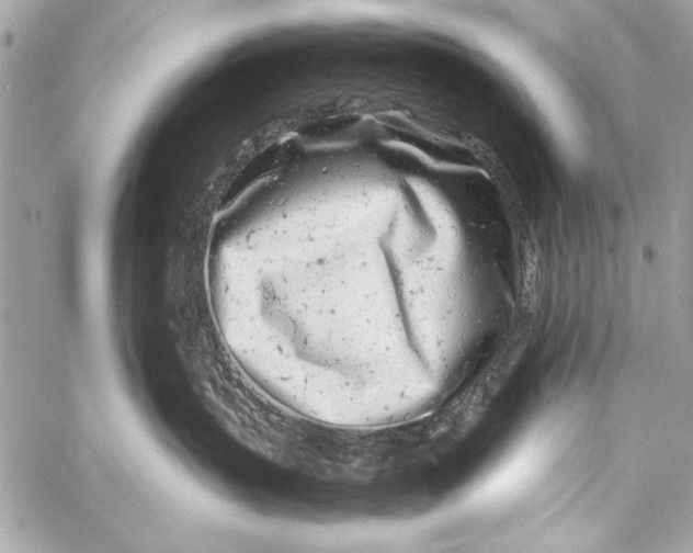 X0000057060383200510071413