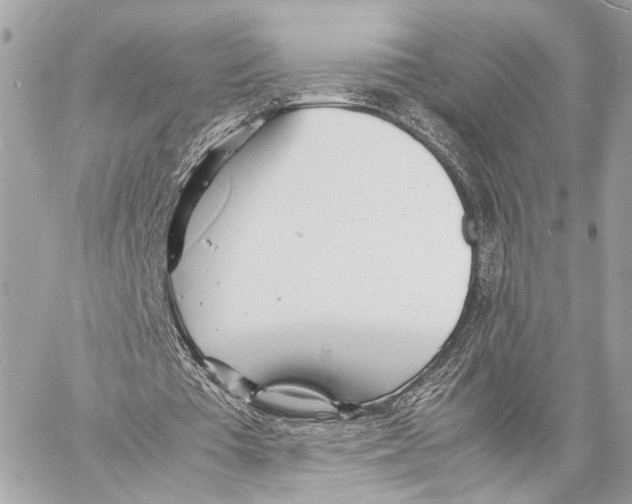 X0000057060385200510071412