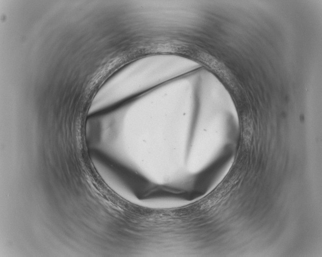 X0000057060386200510071412