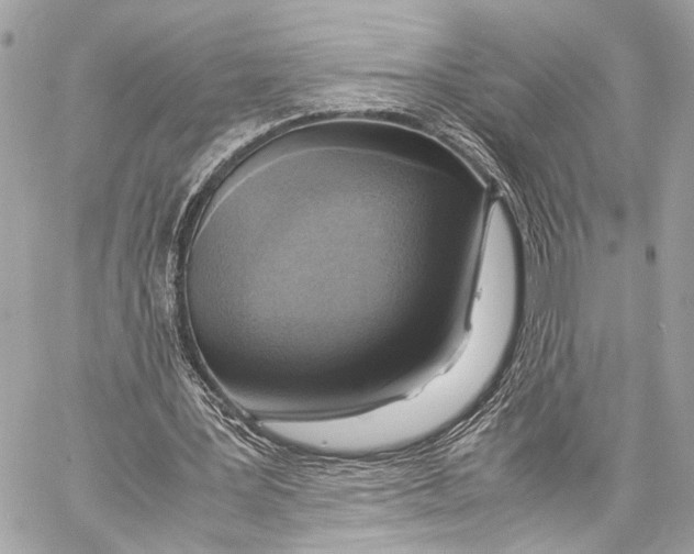 X0000057060387200510071412