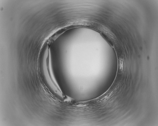 X0000057060388200510071412