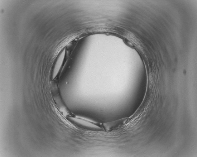 X0000057060389200510071412