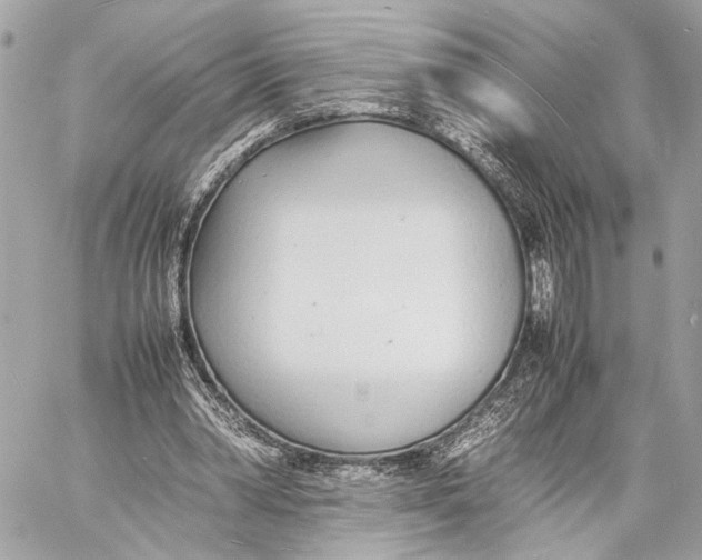 X0000057060390200510071412