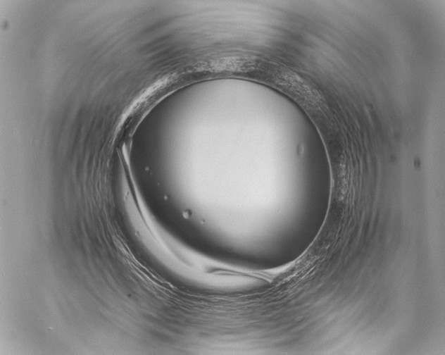 X0000057060392200510071412