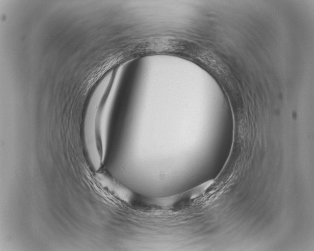 X0000057060393200510071412