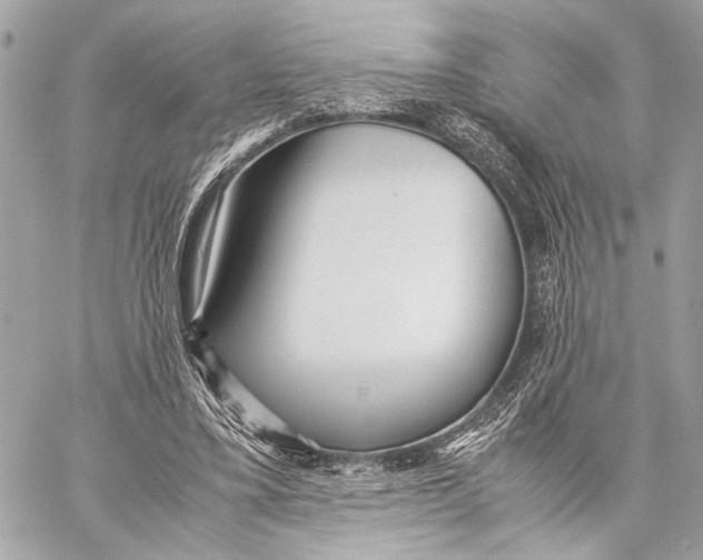 X0000057060395200510071412