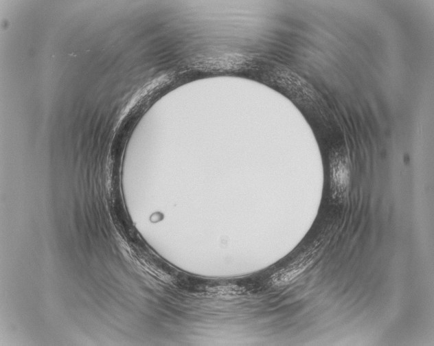 X0000057060396200510071412