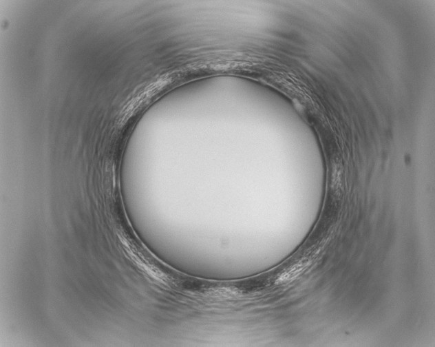 X0000057060397200510071412