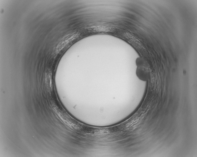 X0000057060398200510071412