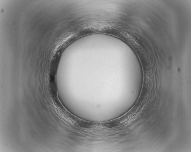 X0000057060399200510071412