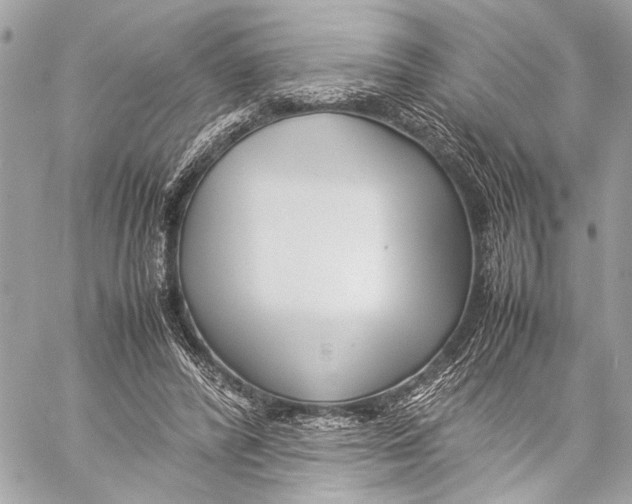 X0000057060400200510071412