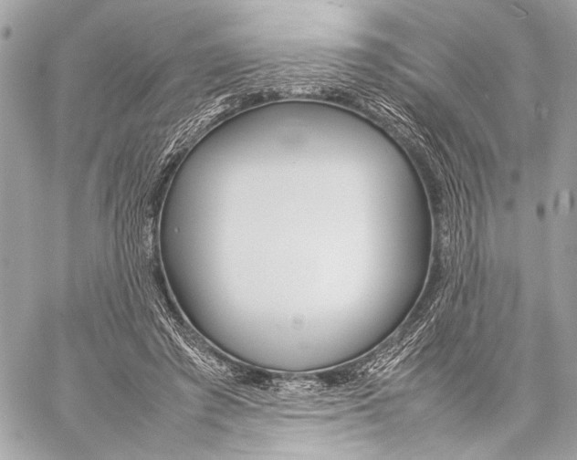 X0000057060401200510071412