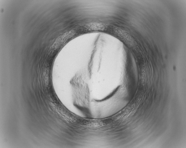 X0000057060402200510071412