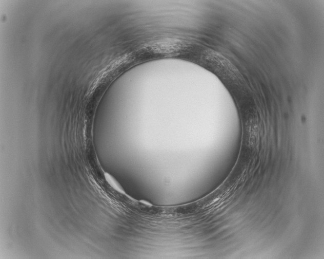 X0000057060404200510071412