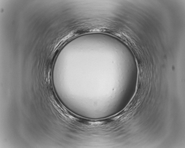 X0000057060405200510071412