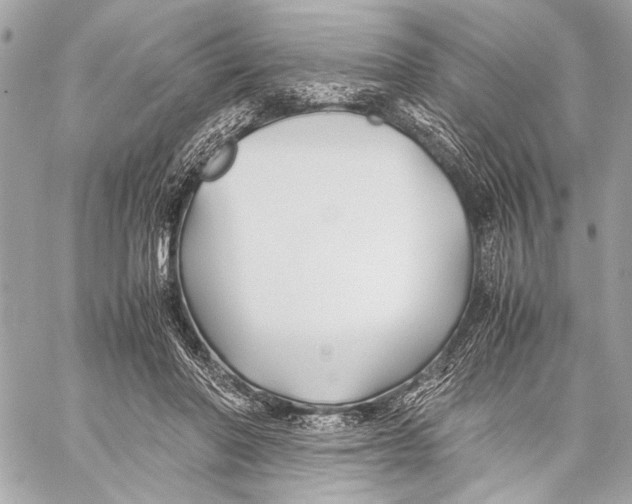 X0000057060406200510071412