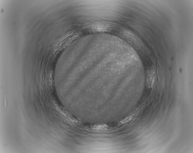 X0000057060410200510071412