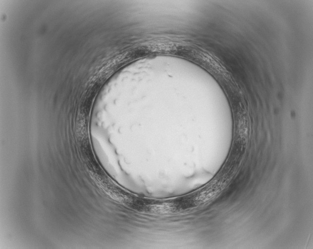 X0000057060411200510071412