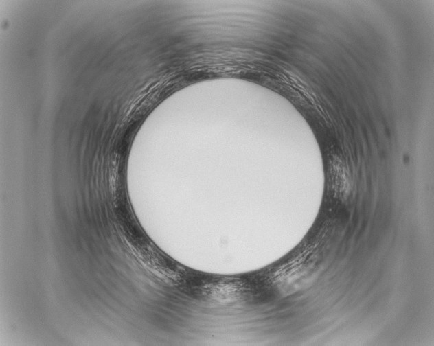 X0000057060412200510071412