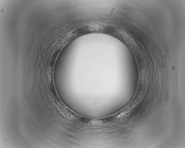 X0000057060413200510071411