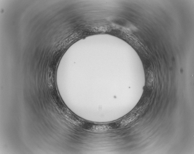 X0000057060414200510071411