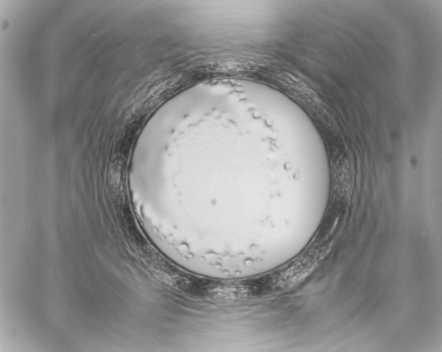 X0000057060415200510071411