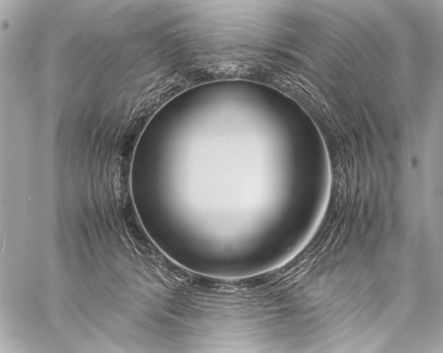 X0000057060416200510071411