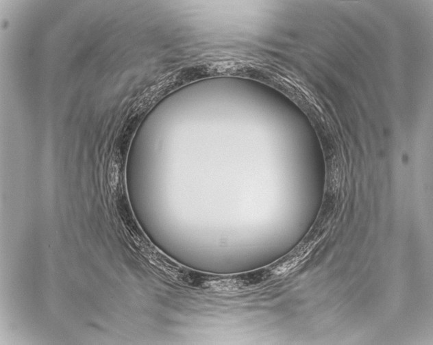 X0000057060417200510071411