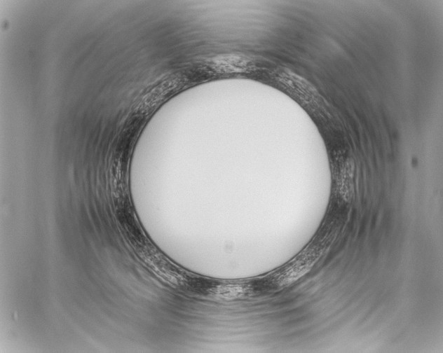 X0000057060418200510071411