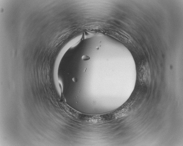 X0000057060420200510071411