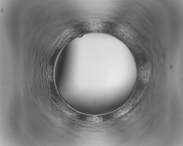 X0000057060421200510071411