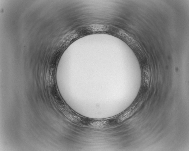 X0000057060422200510071411