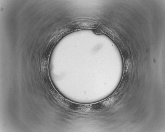 X0000057060423200510071411